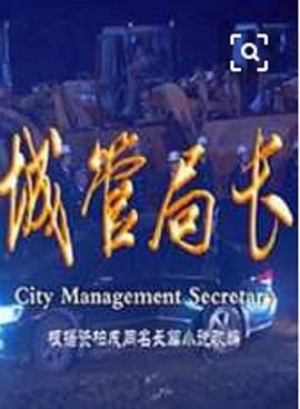 城管局长第03集