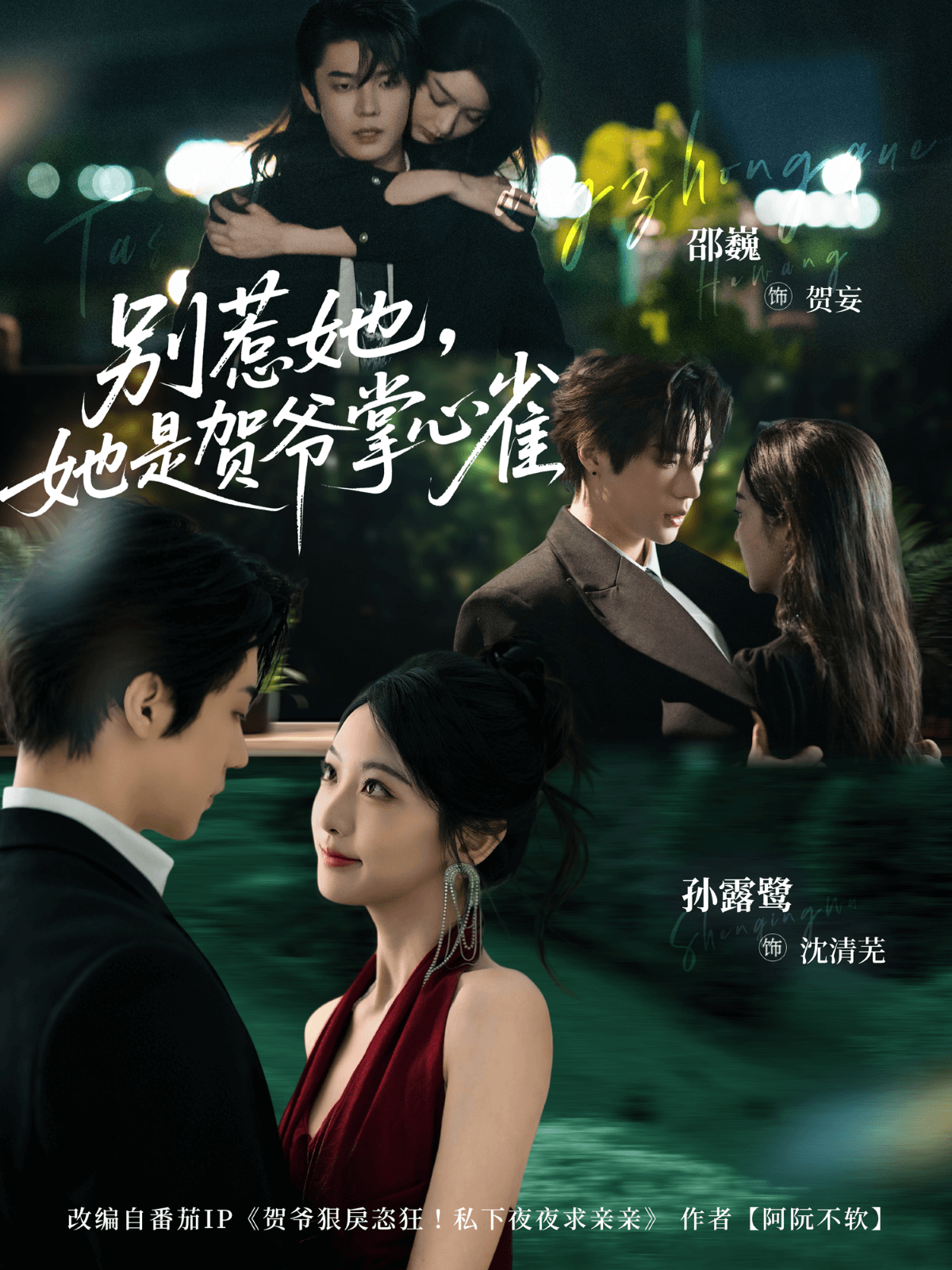 别惹她，她是贺爷掌心雀(全集)