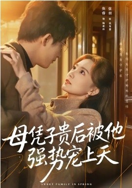 母凭子贵后被他强势宠上天第40集