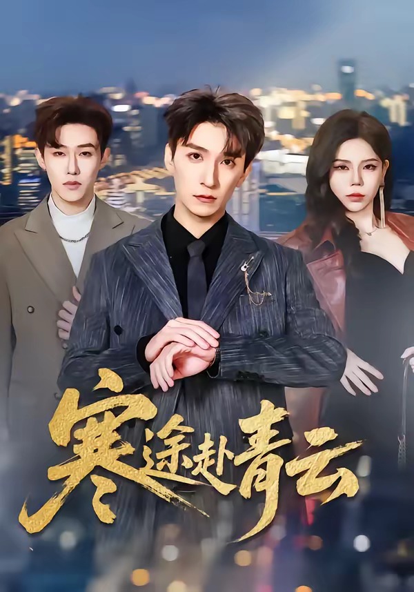 寒途赴青云(全集)