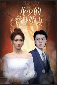 龙少的替身娇妻第22集