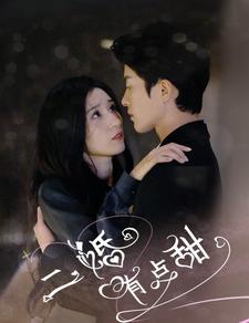 二婚有点甜第8集