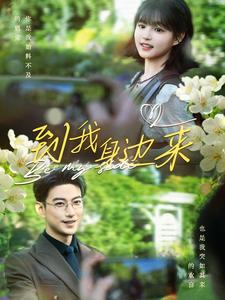 到我身边来第65集